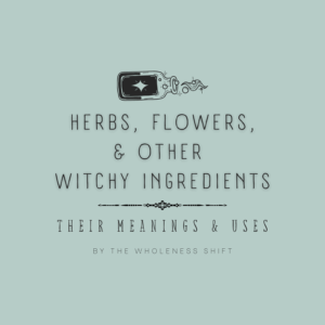 WITCHY 101 Herbs & Other Ingredients Meanings & Uses